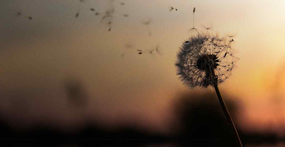 התמודדות עם מערכות מורכבות